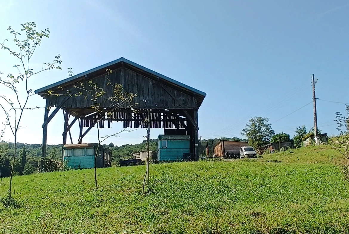 Maison à rénover avec dépendances et grands terrains à Sainte Croix Volvestre 