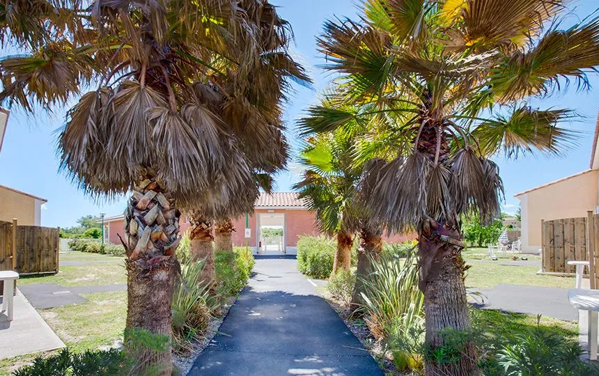 Appartement T2 duplex à vendre à Colombiers, résidence de tourisme avec rentabilité attractived 