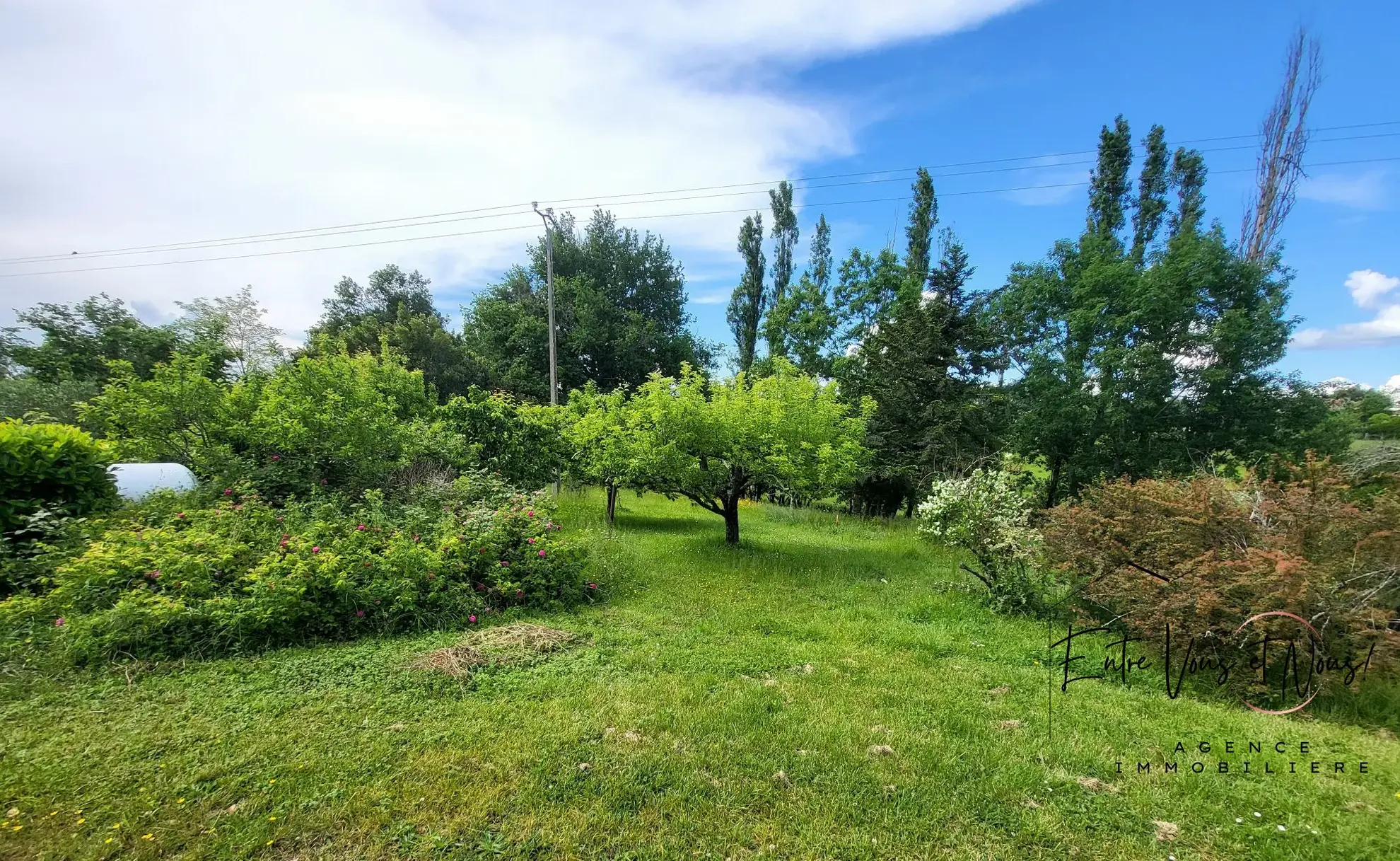 Charmante maison de 132 m² avec jardin arboré de 3000 m² à Gajac, proche Bazas 