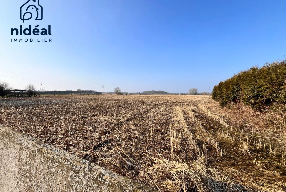 Maison Longère à Raismes avec grand potentiel et combles aménageables en vente 