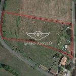 Terrain constructible avec maison à rénover dans le Ségur, proche Albi et Cordes-sur-Ciel