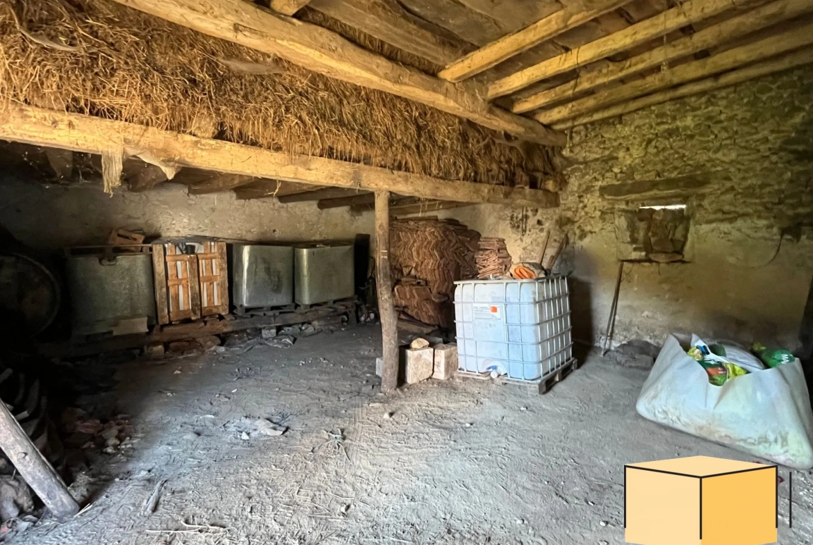 Opportunité de rénovation d'une grange à Belley avec terrain attenant de 153 m² 