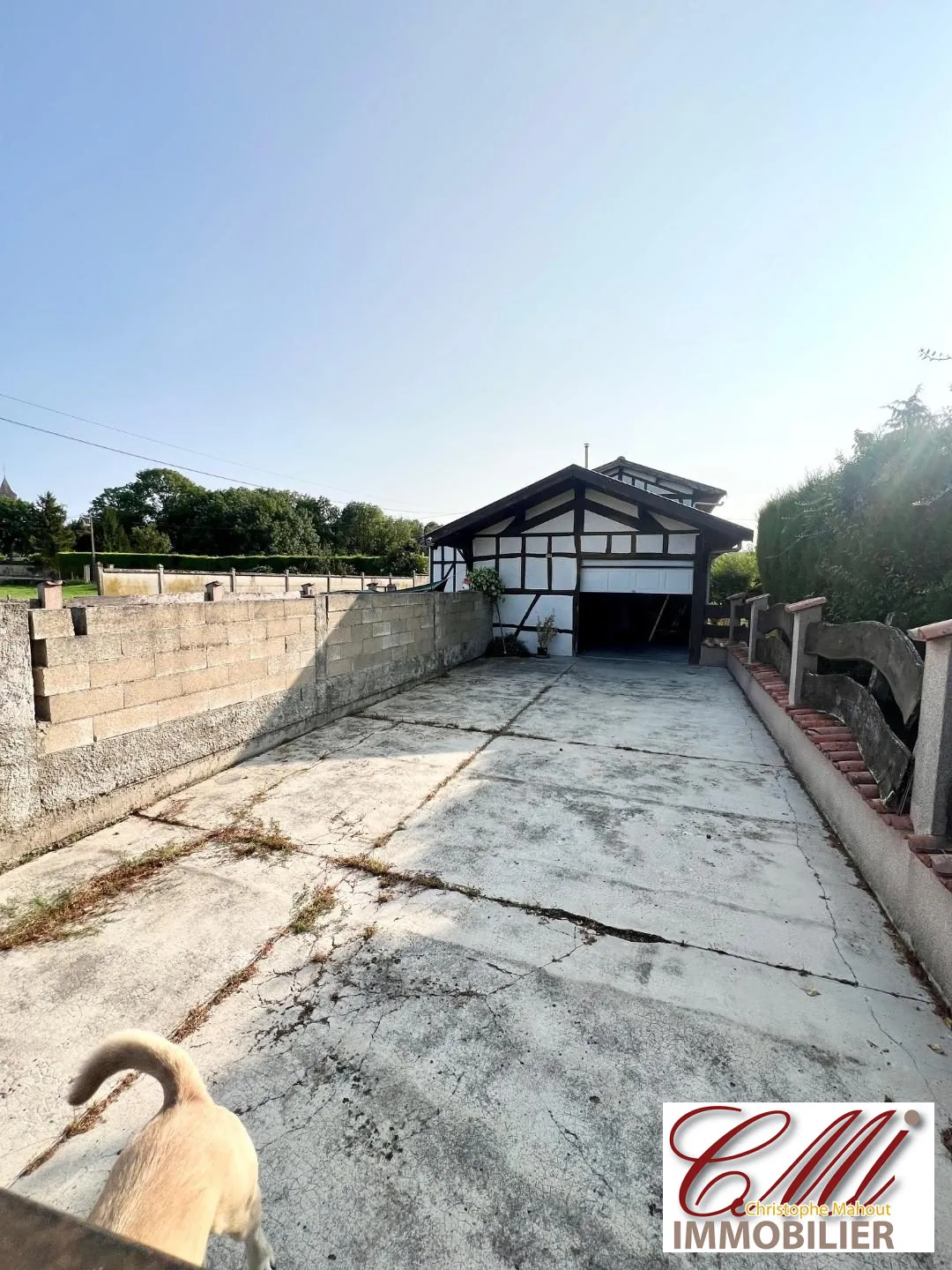 Immeuble avec jardin à vendre à Vitry-le-François – Opportunité d'investissement locatif 