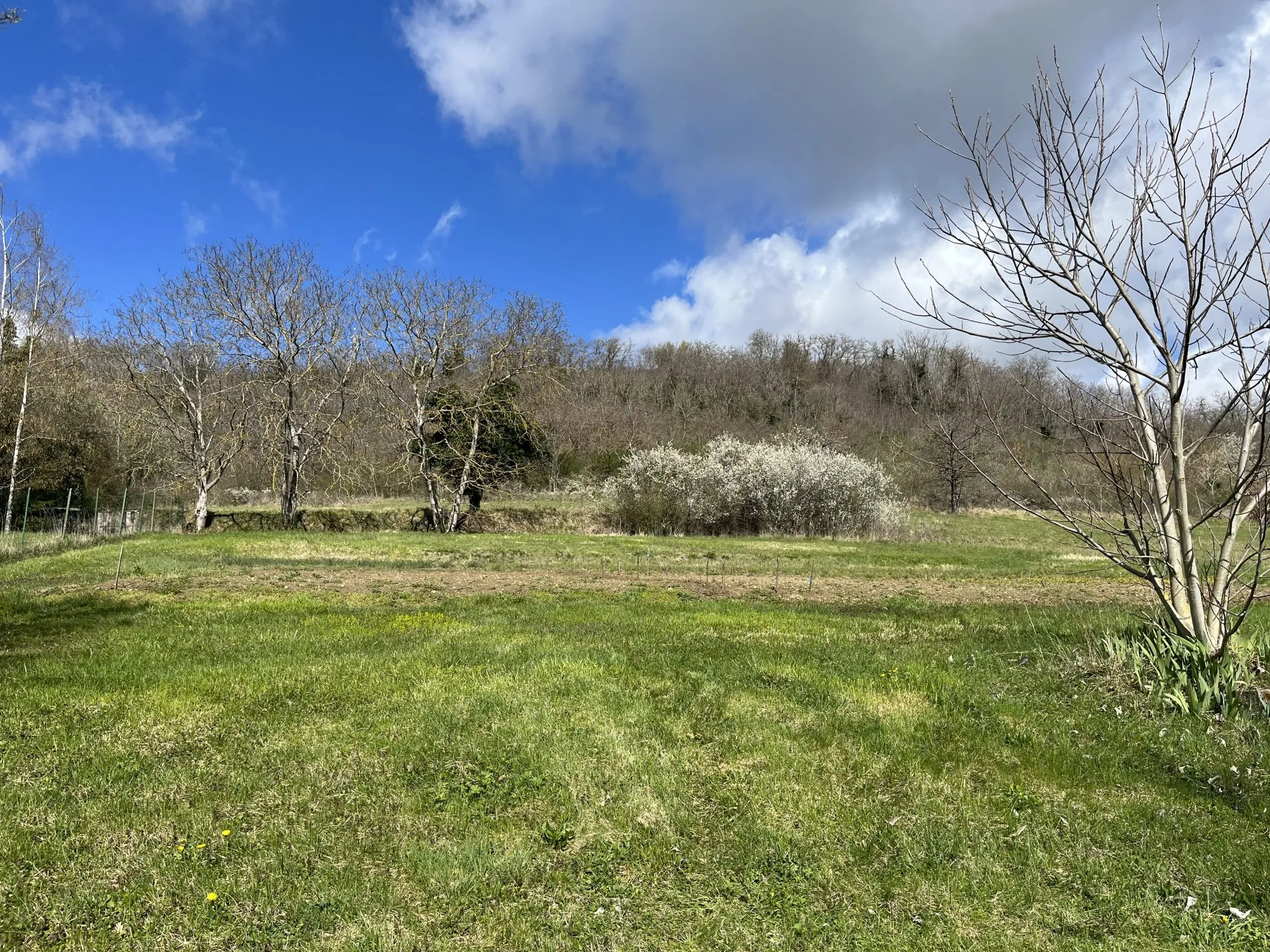 Terrain à vendre à Laps de 1660 m² avec 500 m² constructibles viabilisés 