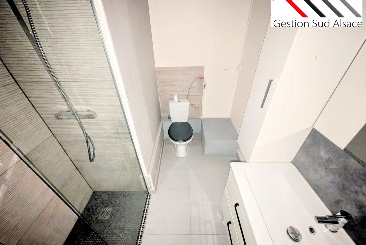 Charmant studio rénové de 24 m² à Rixheim avec vue verdoyante 
