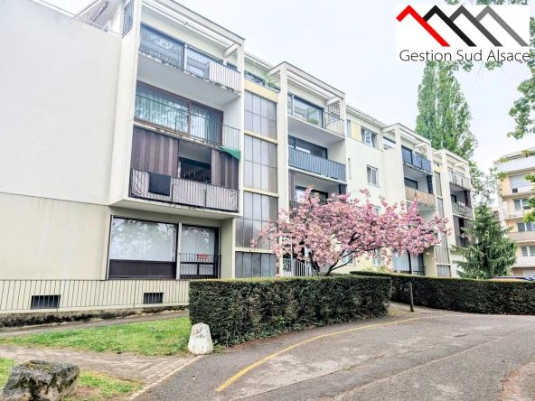 Charmant studio rénové de 24 m² à Rixheim avec vue verdoyante