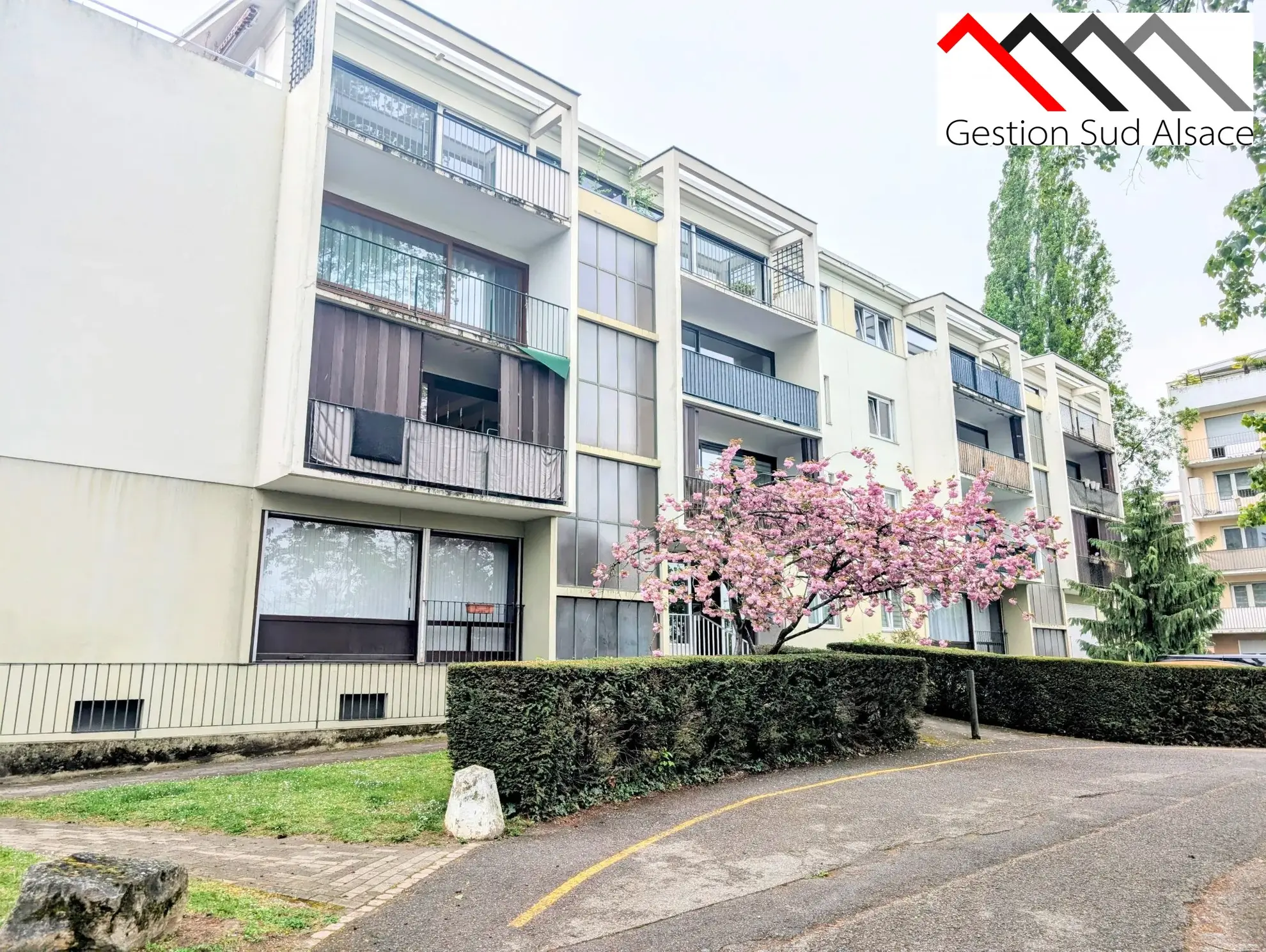 Charmant studio rénové de 24 m² à Rixheim avec vue verdoyante 