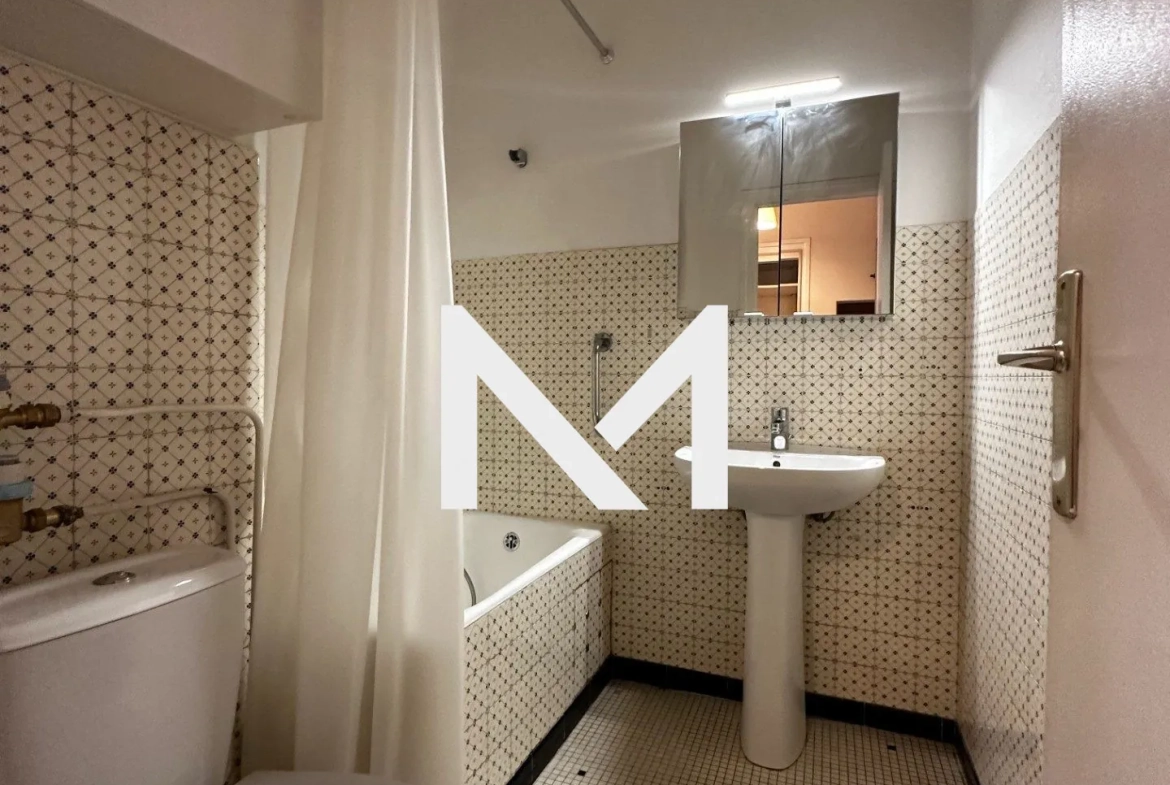 Appartement de 30 m² loué à Grenoble, ascenseur, cave, proche commodités 