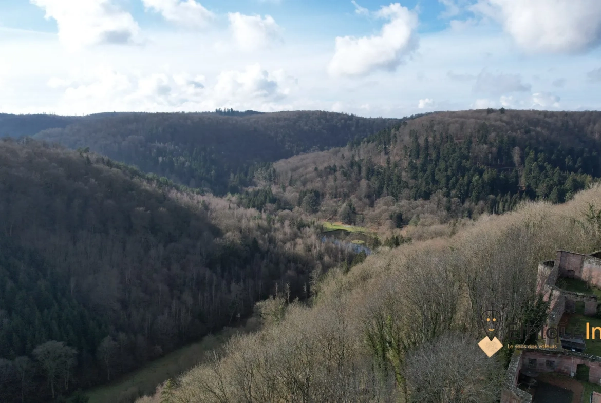 Belle maison rénovée avec vue imprenable à La Petite Pierre 
