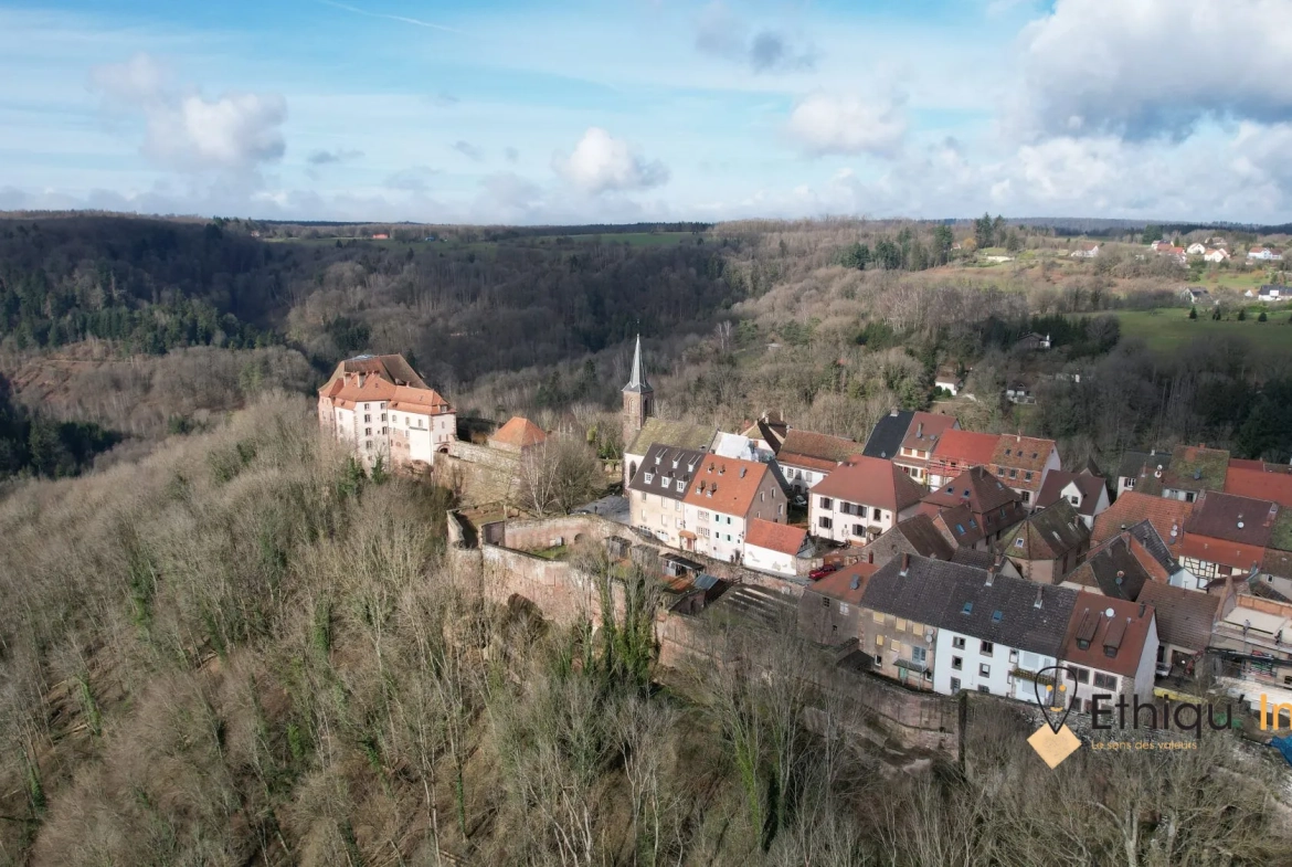 Belle maison rénovée avec vue imprenable à La Petite Pierre 