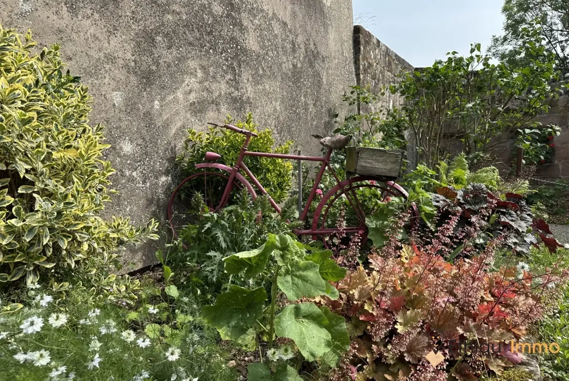 Belle maison rénovée avec vue imprenable à La Petite Pierre 