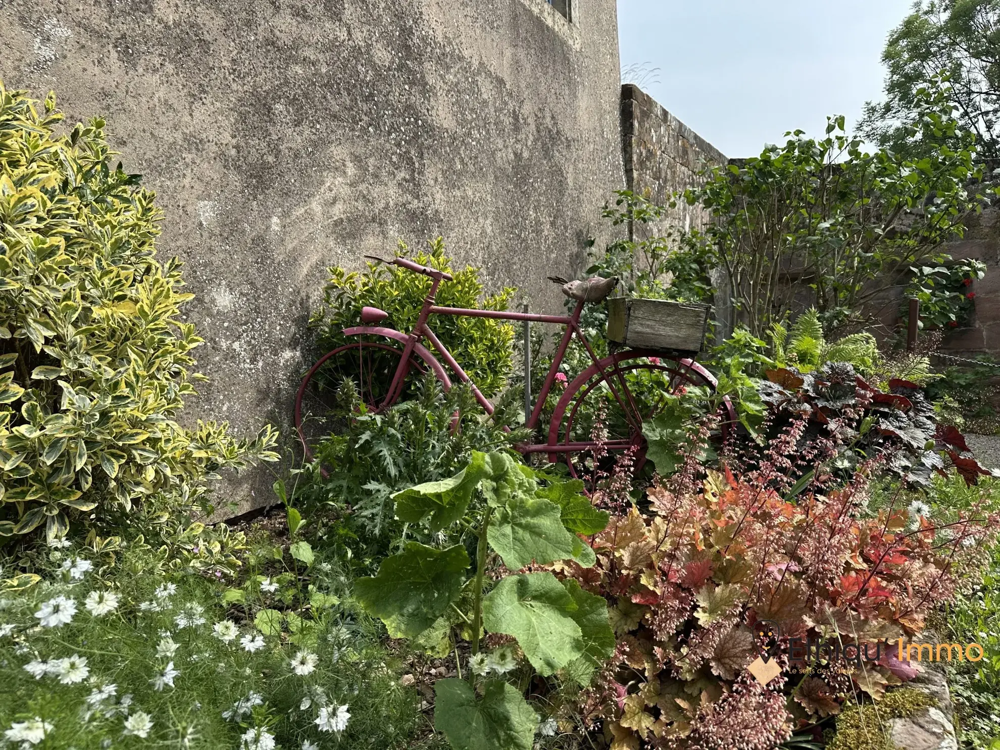 Belle maison rénovée avec vue imprenable à La Petite Pierre 