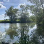 Terrain de 6297 m² à Trondes avec étang, calme et nature