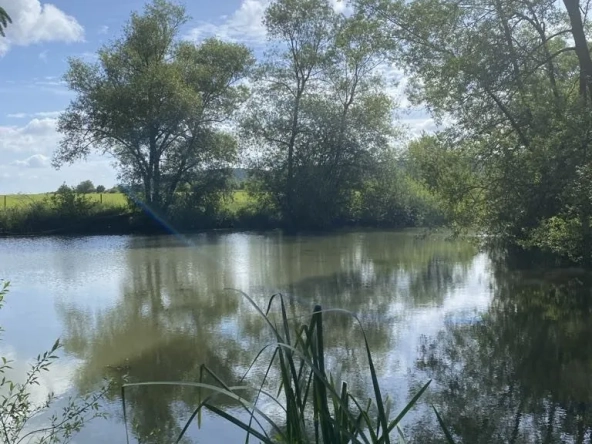 Terrain de 6297 m² à Trondes avec étang, calme et nature