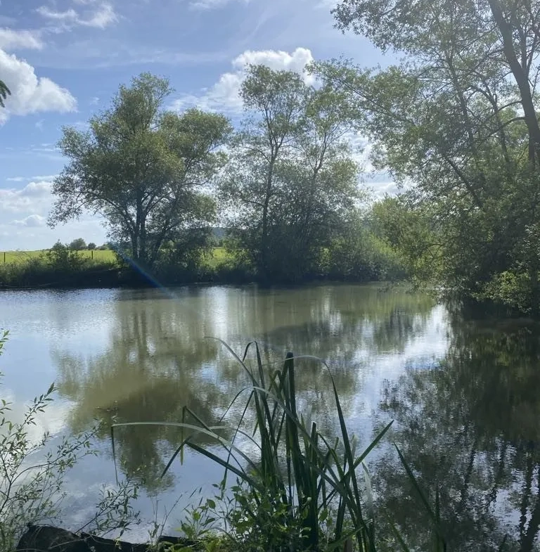 Terrain de 6297 m² à Trondes avec étang, calme et nature 