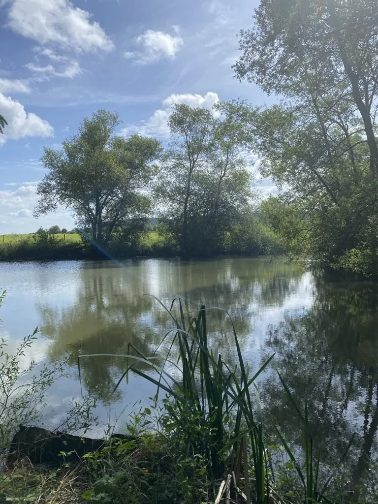Terrain de 6297 m² à Trondes avec étang, calme et nature 