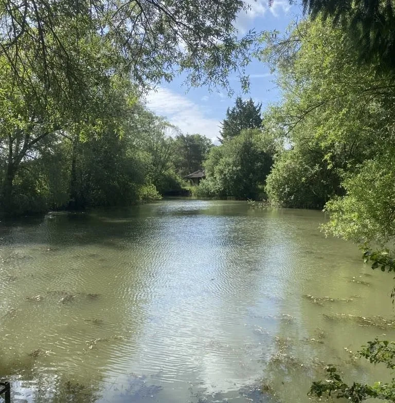 Terrain de 6297 m² à Trondes avec étang, calme et nature 
