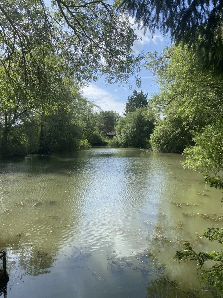 Terrain de 6297 m² à Trondes avec étang, calme et nature 
