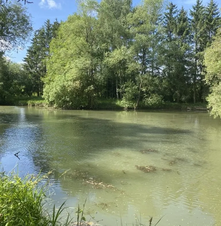 Terrain de 6297 m² à Trondes avec étang, calme et nature 