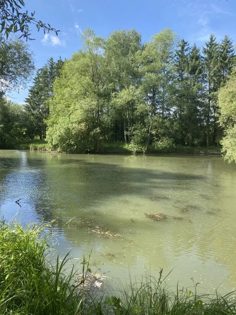 Terrain de 6297 m² à Trondes avec étang, calme et nature 