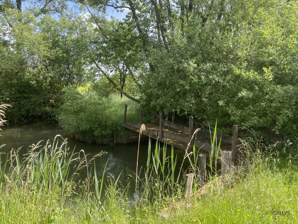 Terrain de 6297 m² à Trondes avec étang, calme et nature 