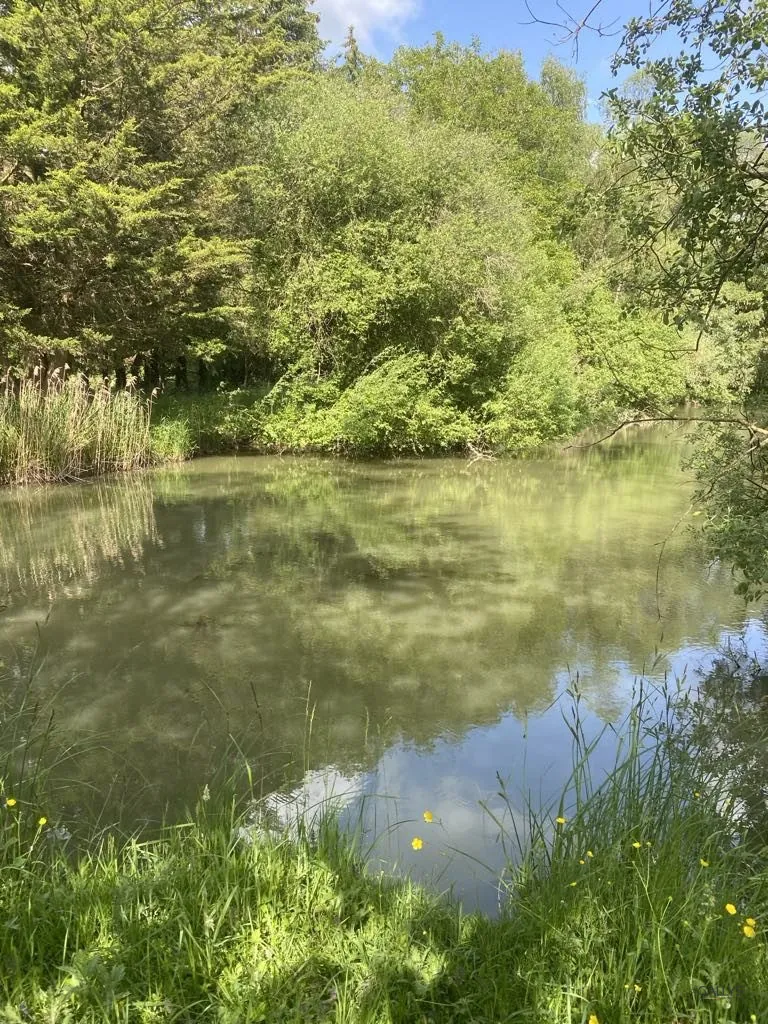 Terrain de 6297 m² à Trondes avec étang, calme et nature 