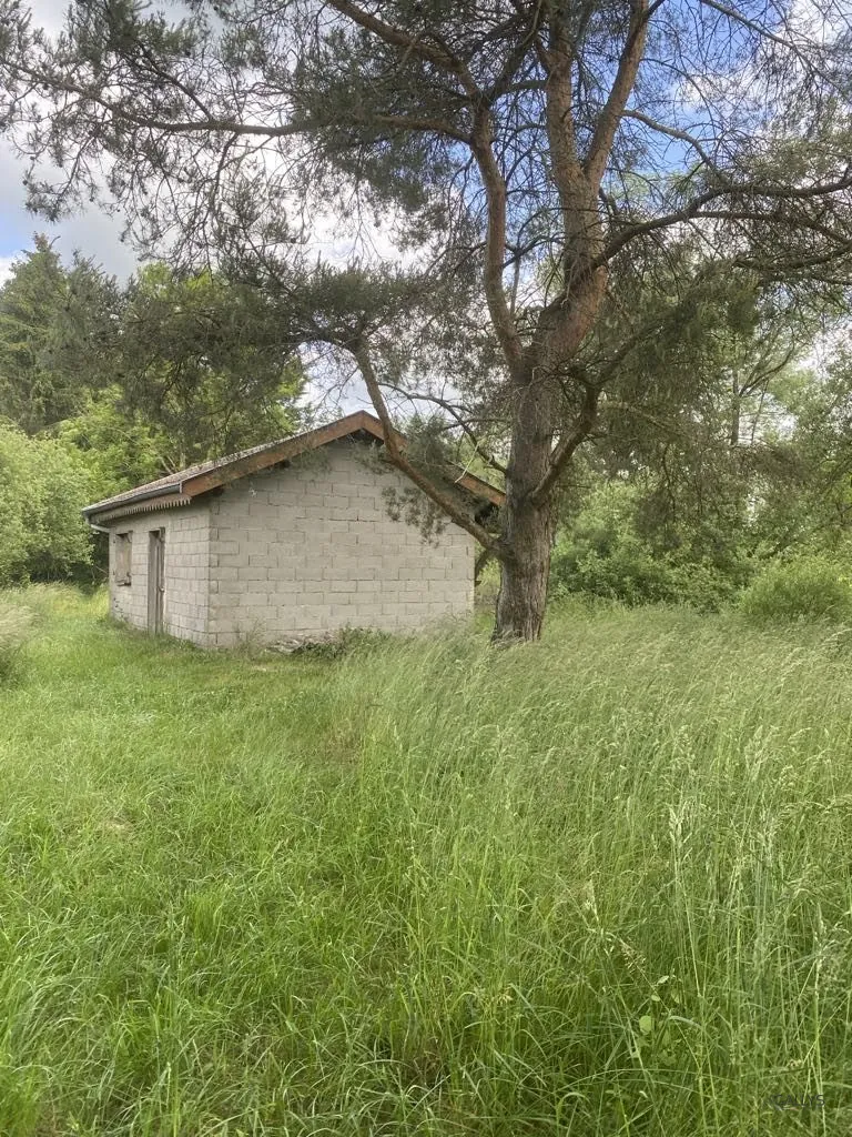Terrain de 6297 m² à Trondes avec étang, calme et nature 
