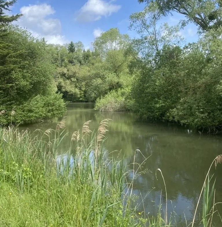 Terrain de 6297 m² à Trondes avec étang, calme et nature 
