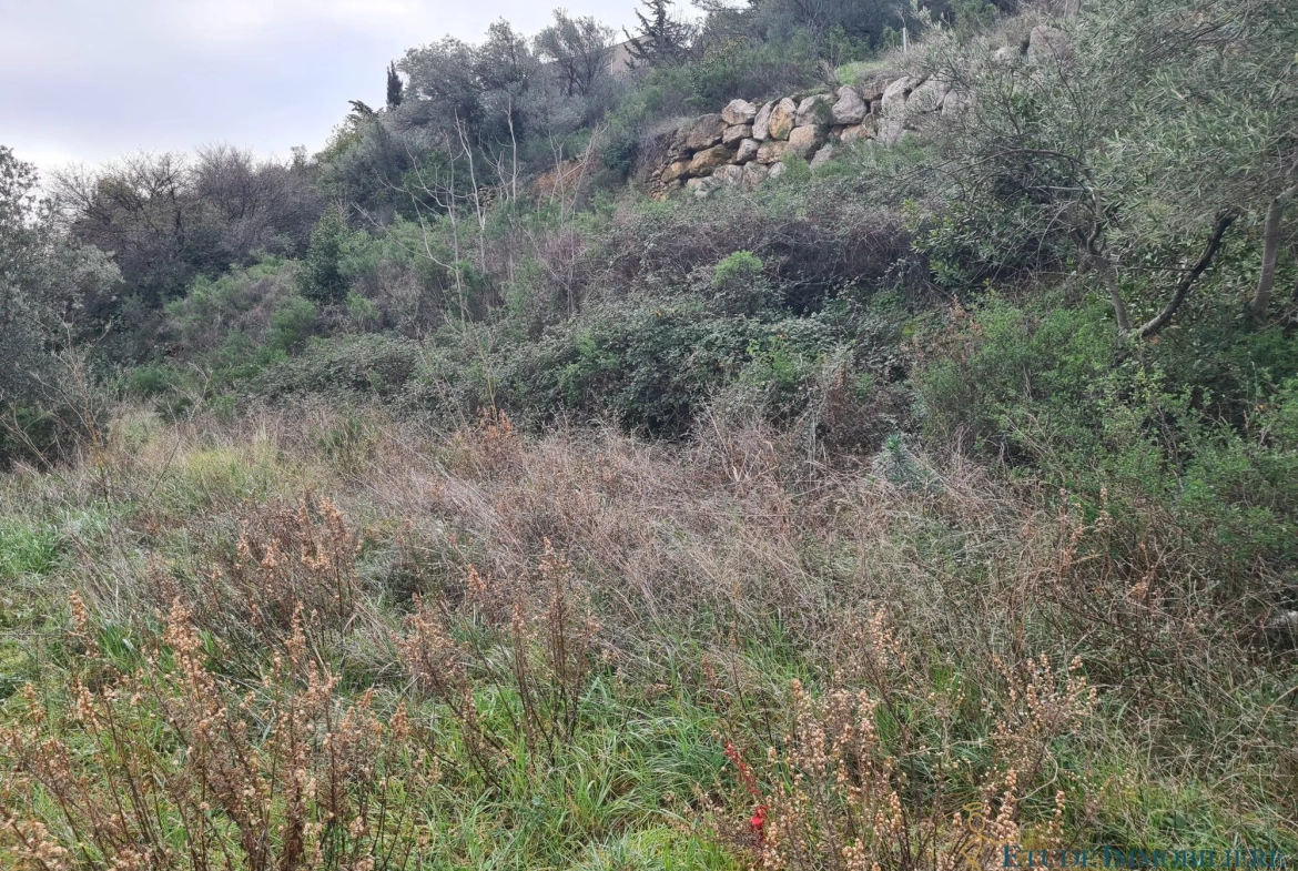 Terrain constructible de 875 m² à Clermont-l'Hérault, viabilisé, idéal pour maison plain-pied 