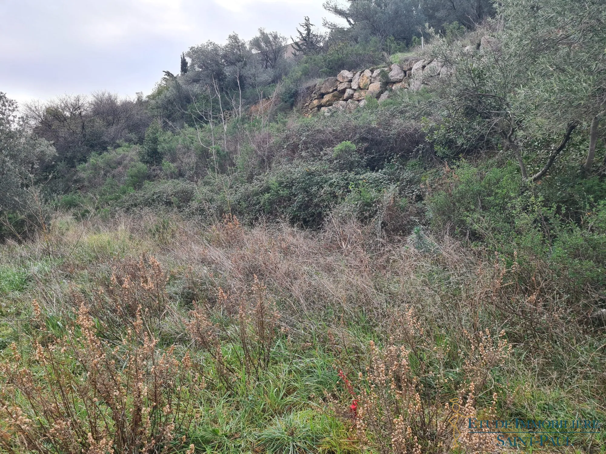 Terrain constructible de 875 m² à Clermont-l'Hérault, viabilisé, idéal pour maison plain-pied 