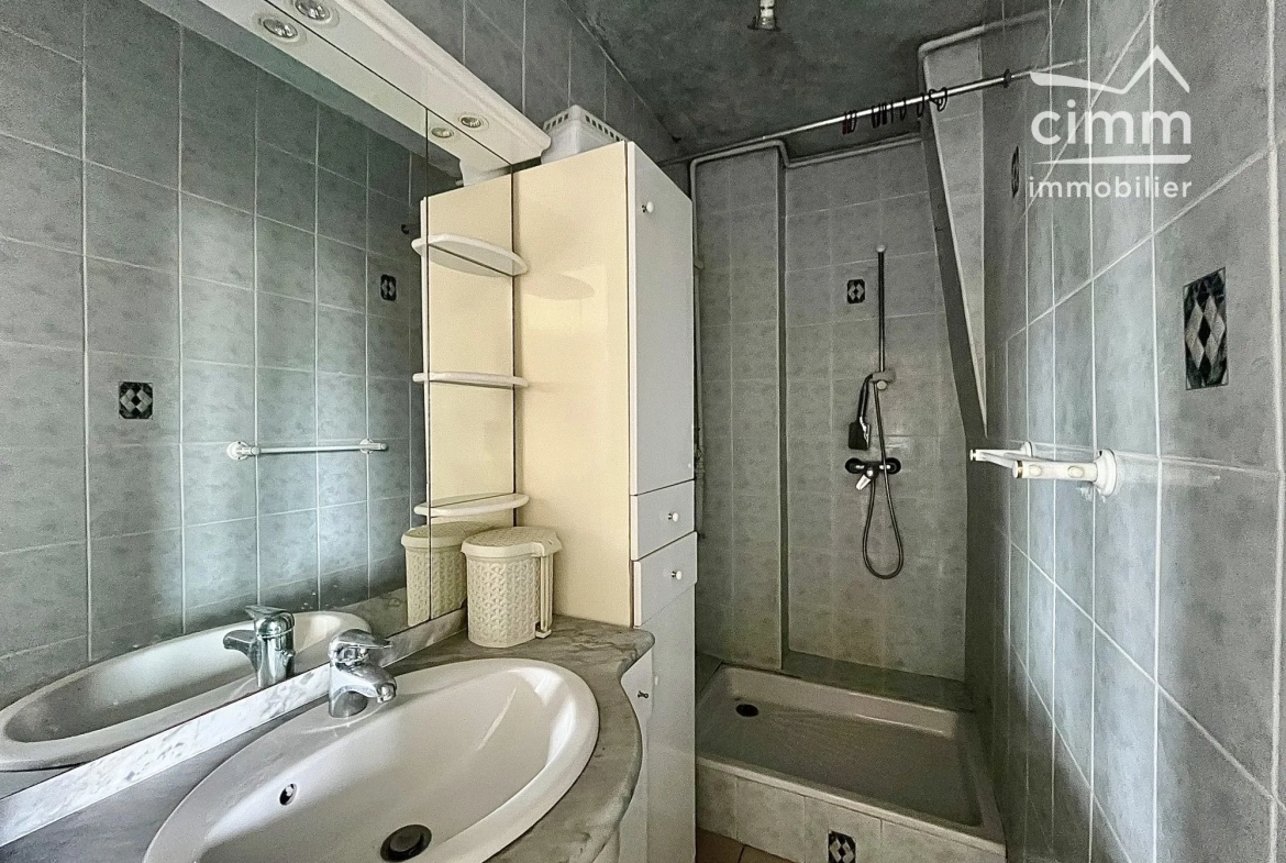 T2 lumineux de 45m² à Fontaine avec parking et cave, investissement ou résidence principale 