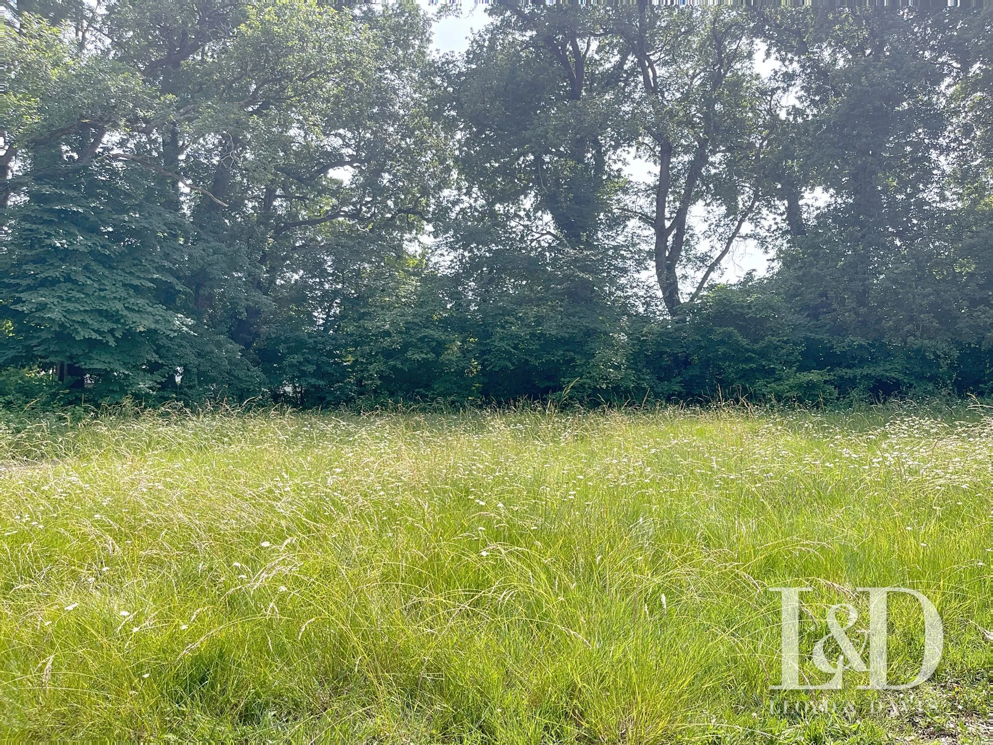 Terrain constructible de 2050 m² à Médis, proche Royan et plage - Projet personnalisé 