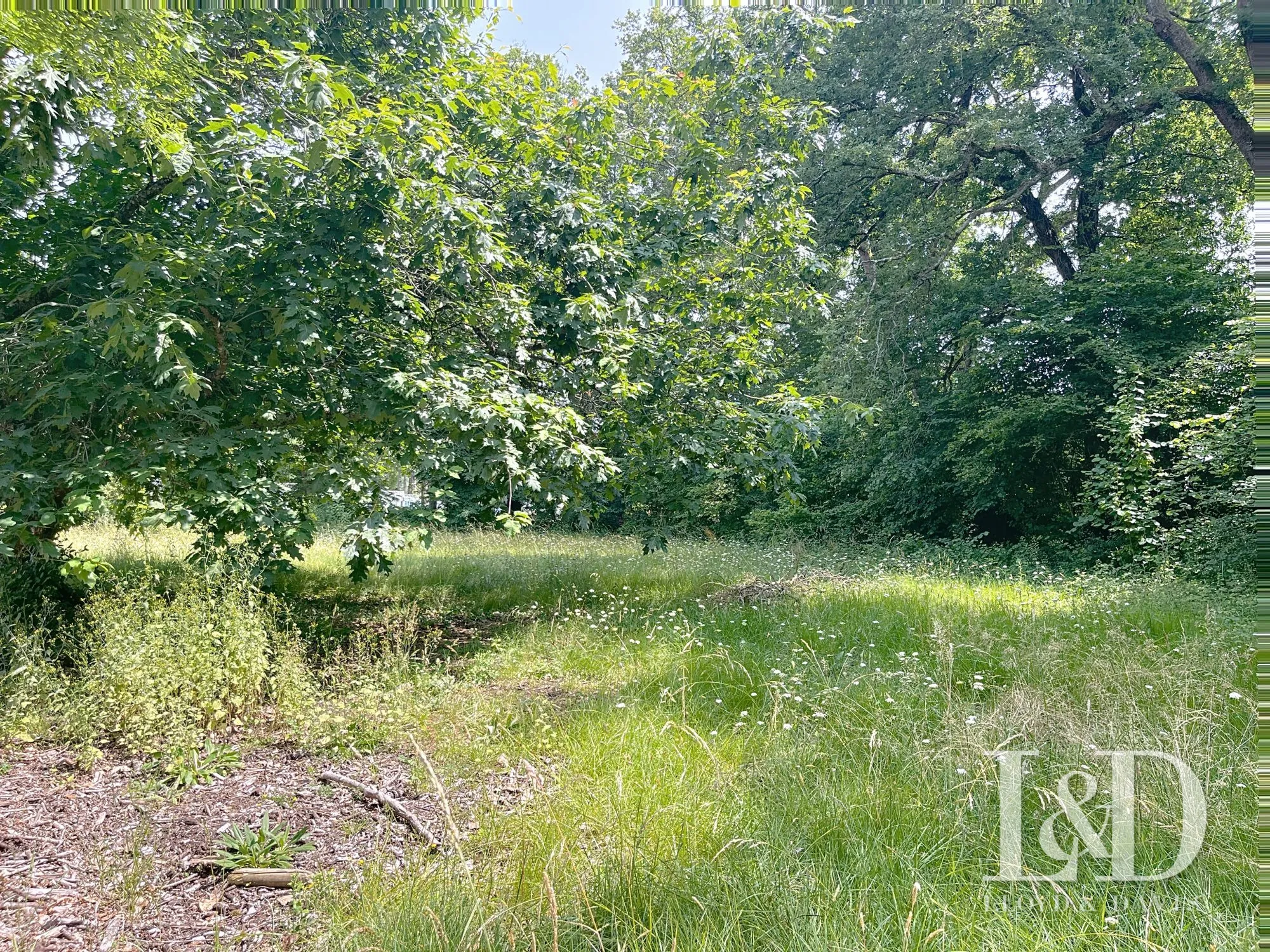 Terrain constructible de 2050 m² à Médis, proche Royan et plage - Projet personnalisé 