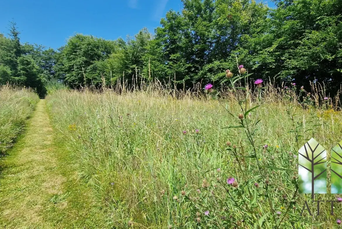 Maison de 3 chambres avec grand jardin à Genouillac, proche de la nature 