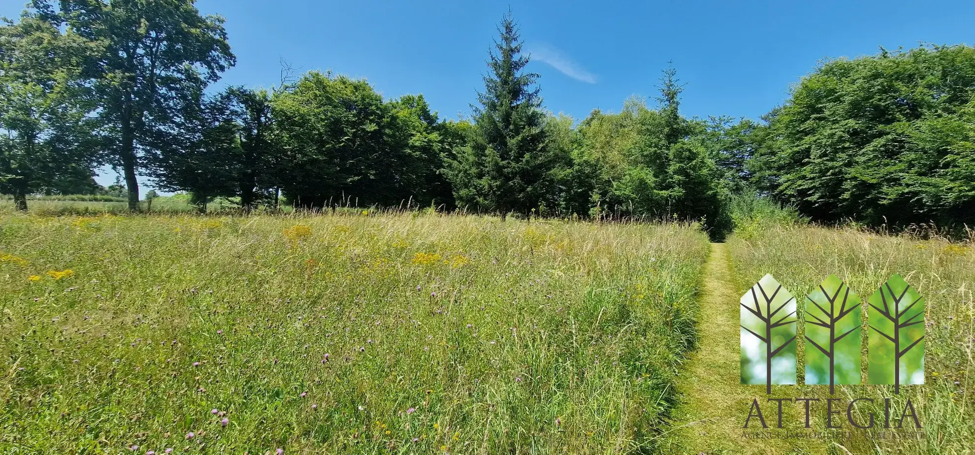 Maison de 3 chambres avec grand jardin à Genouillac, proche de la nature 