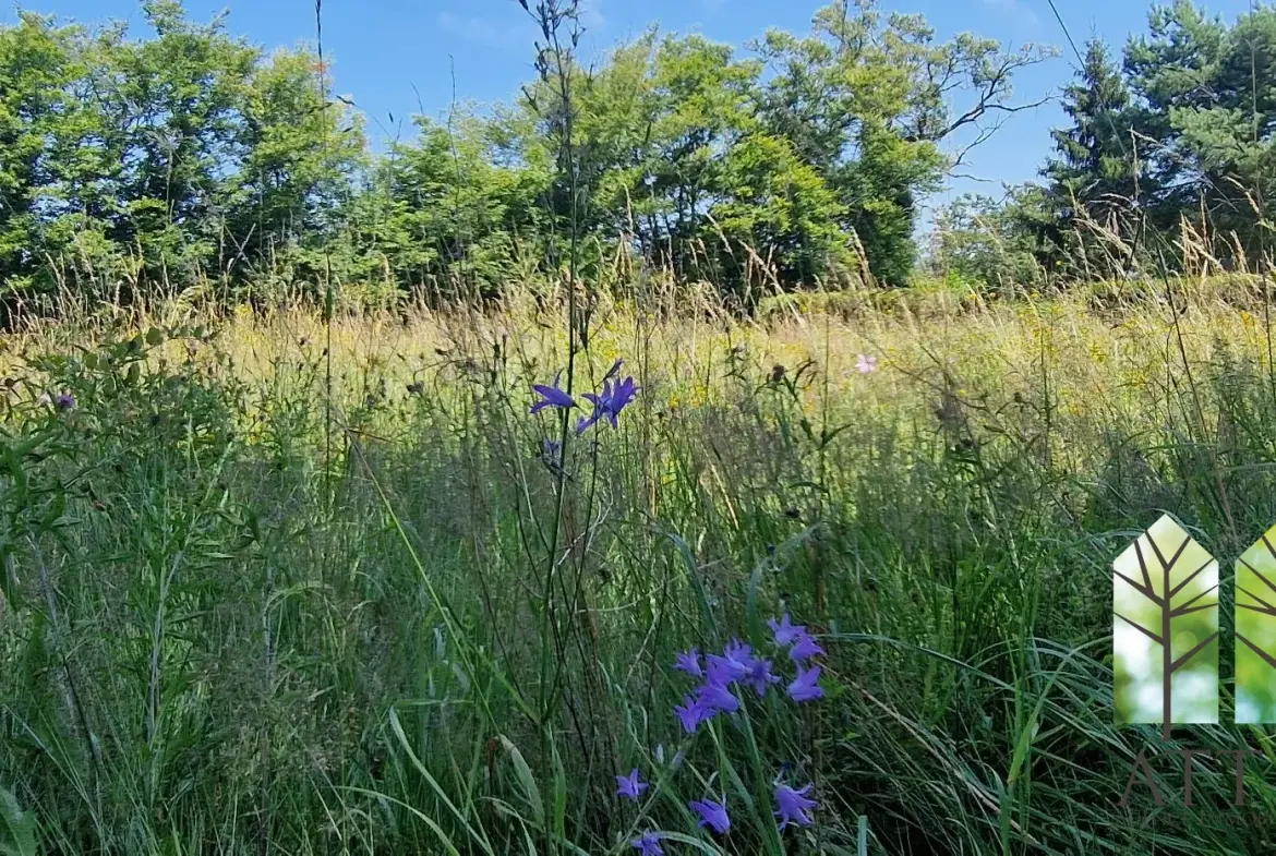 Maison de 3 chambres avec grand jardin à Genouillac, proche de la nature 
