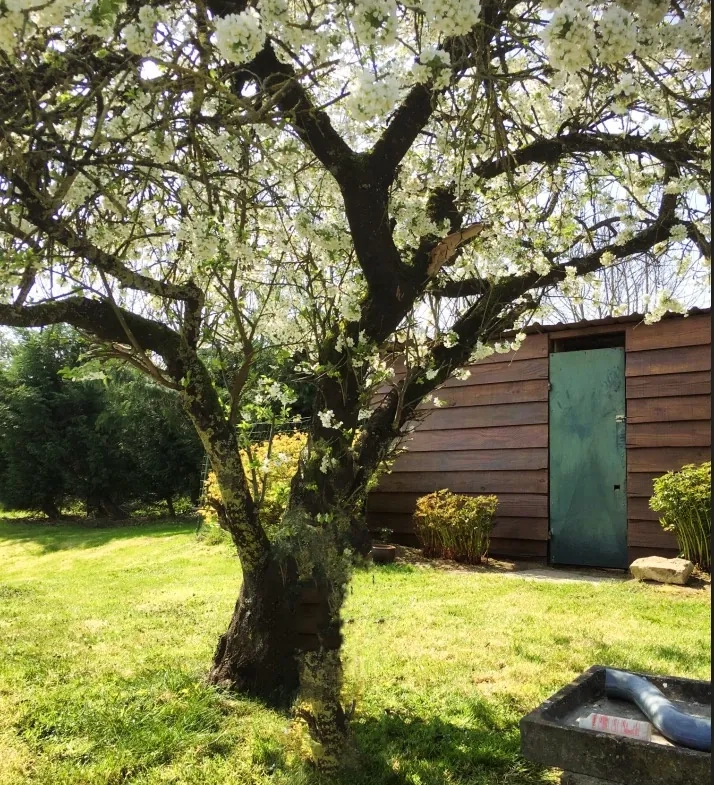 Maison de Village à vendre à La Vallée Mulâtre avec studio rénové et jardin calme 