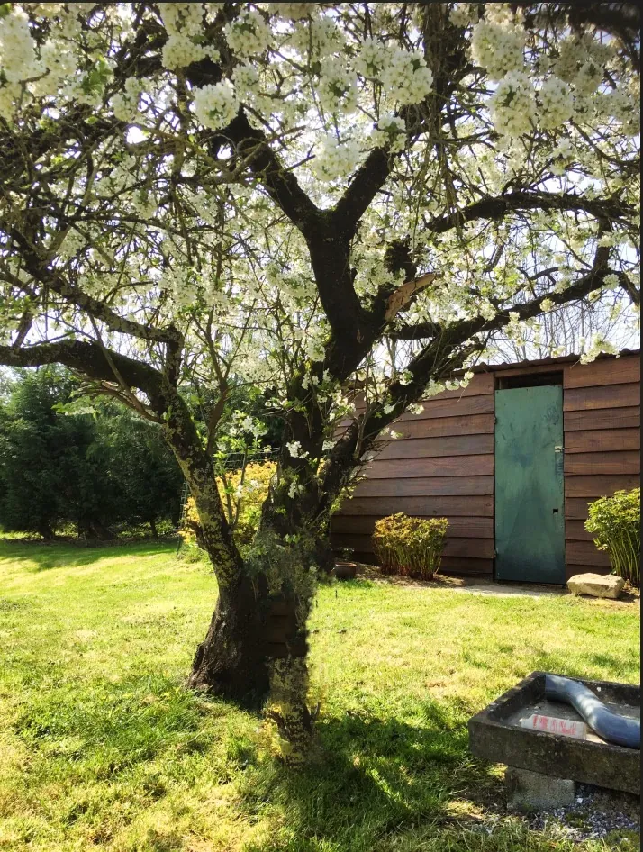 Maison de Village à vendre à La Vallée Mulâtre avec studio rénové et jardin calme 