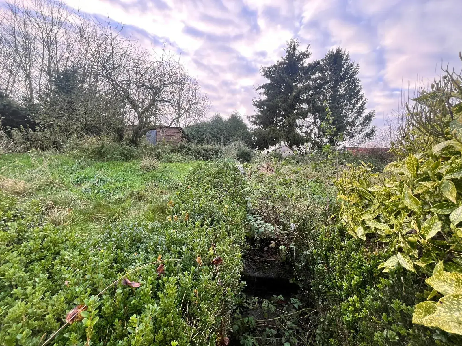Maison de Village à vendre à La Vallée Mulâtre avec studio rénové et jardin calme 