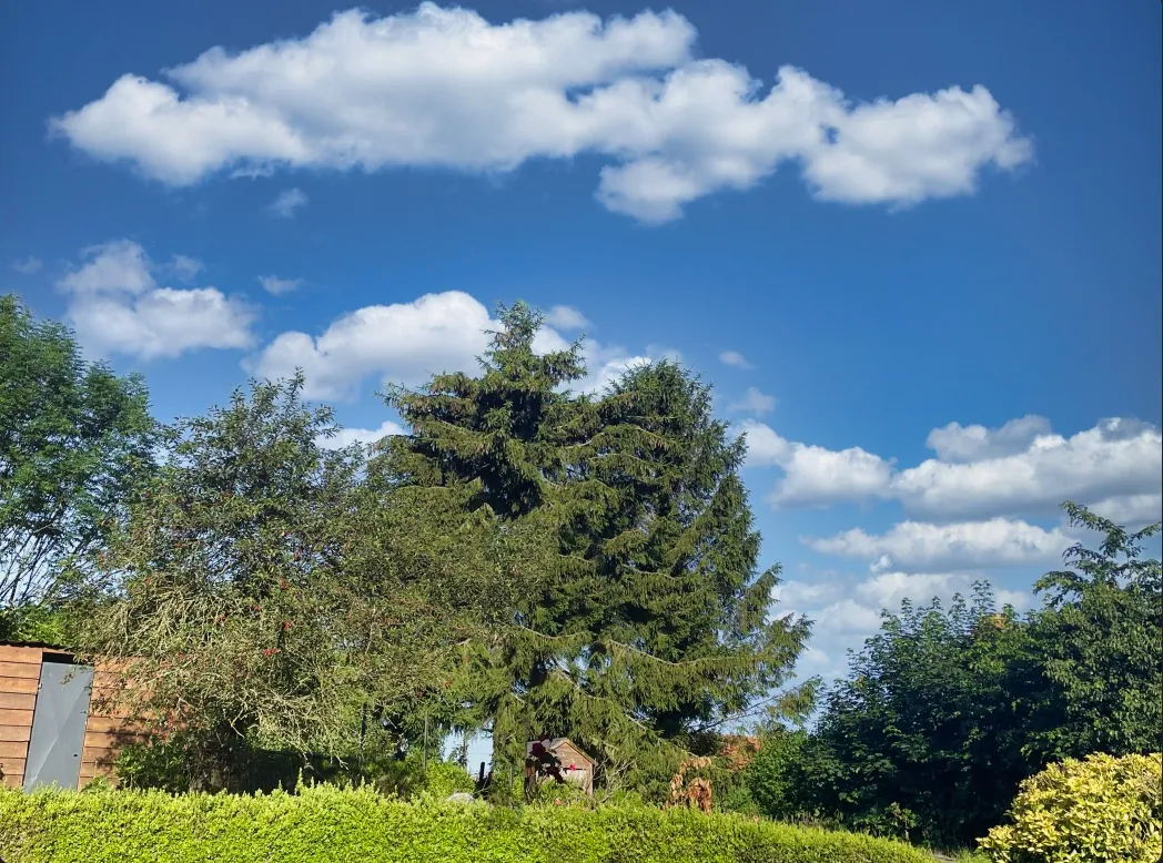 Maison de Village à vendre à La Vallée Mulâtre avec studio rénové et jardin calme 