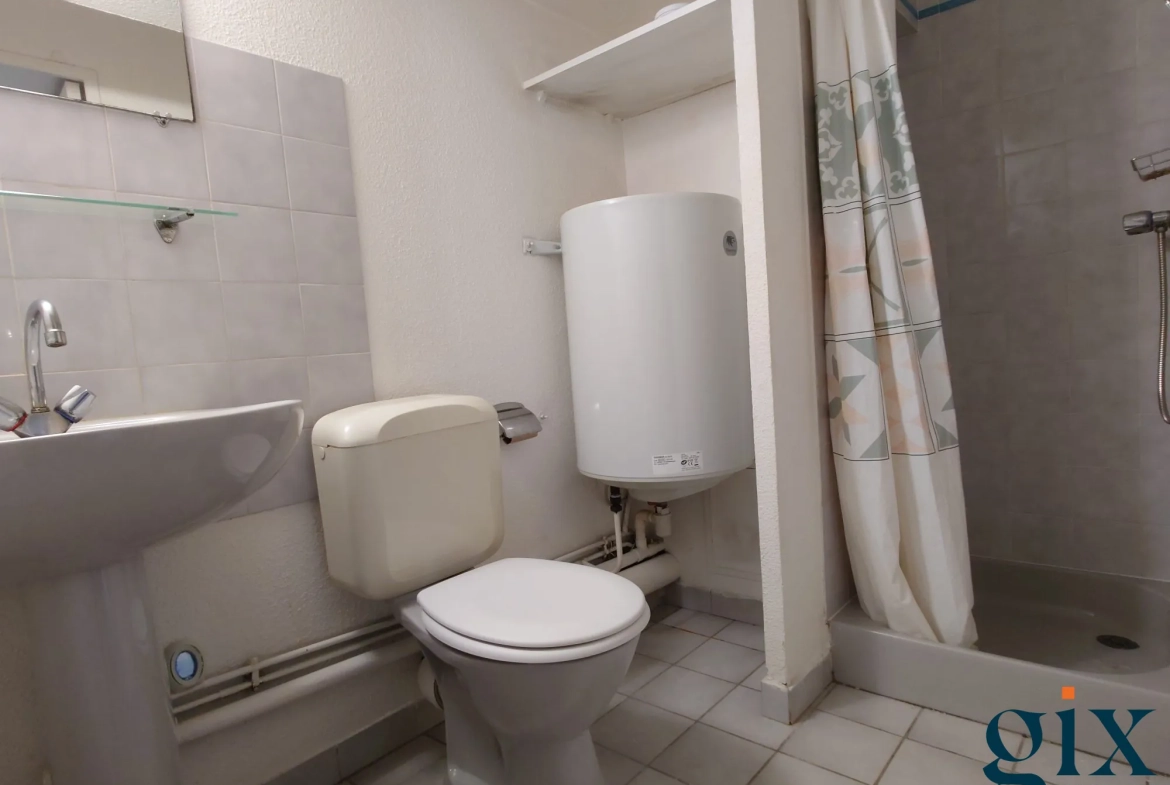 Studio à vendre à Grenoble avec vue sur Belledonne – 19,31 m² 