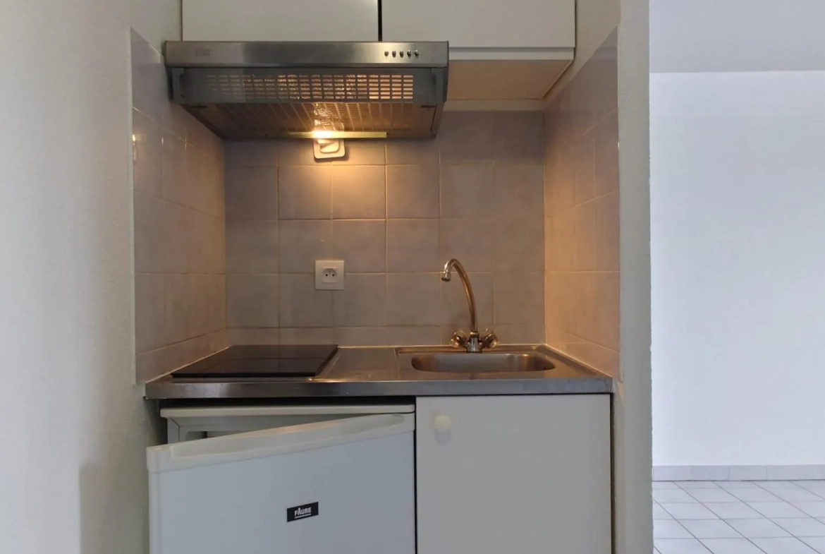 Studio à vendre à Grenoble avec vue sur Belledonne – 19,31 m² 