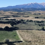 Terrain agricole de 7000 m² à Tresserre - Idéal pour culture potagère ou agriculture