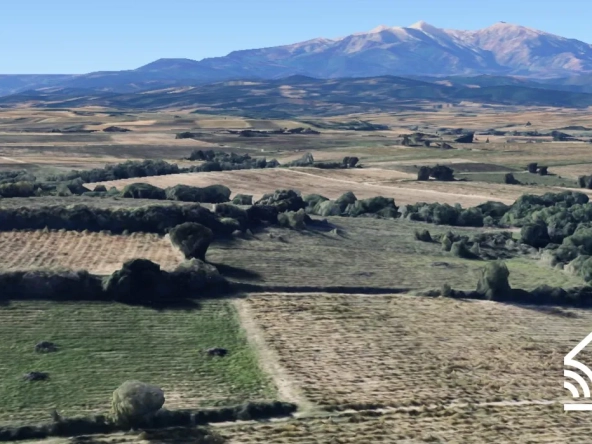 Terrain agricole de 7000 m² à Tresserre - Idéal pour culture potagère ou agriculture