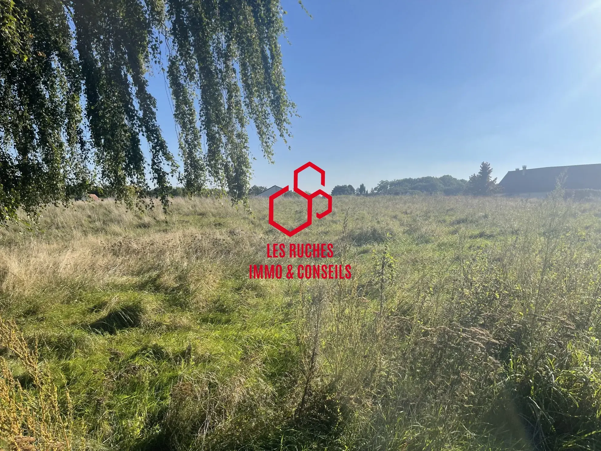 Terrain constructible de 551 m² à vendre à Bouconvillers dans un cadre paisible 