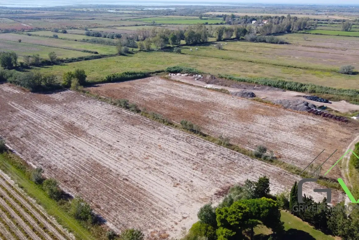 Terrain agricole AOP en Camargue de 46 800 m² proche du Rhône 