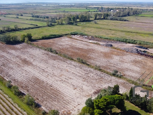 Terrain agricole AOP en Camargue de 46 800 m² proche du Rhône