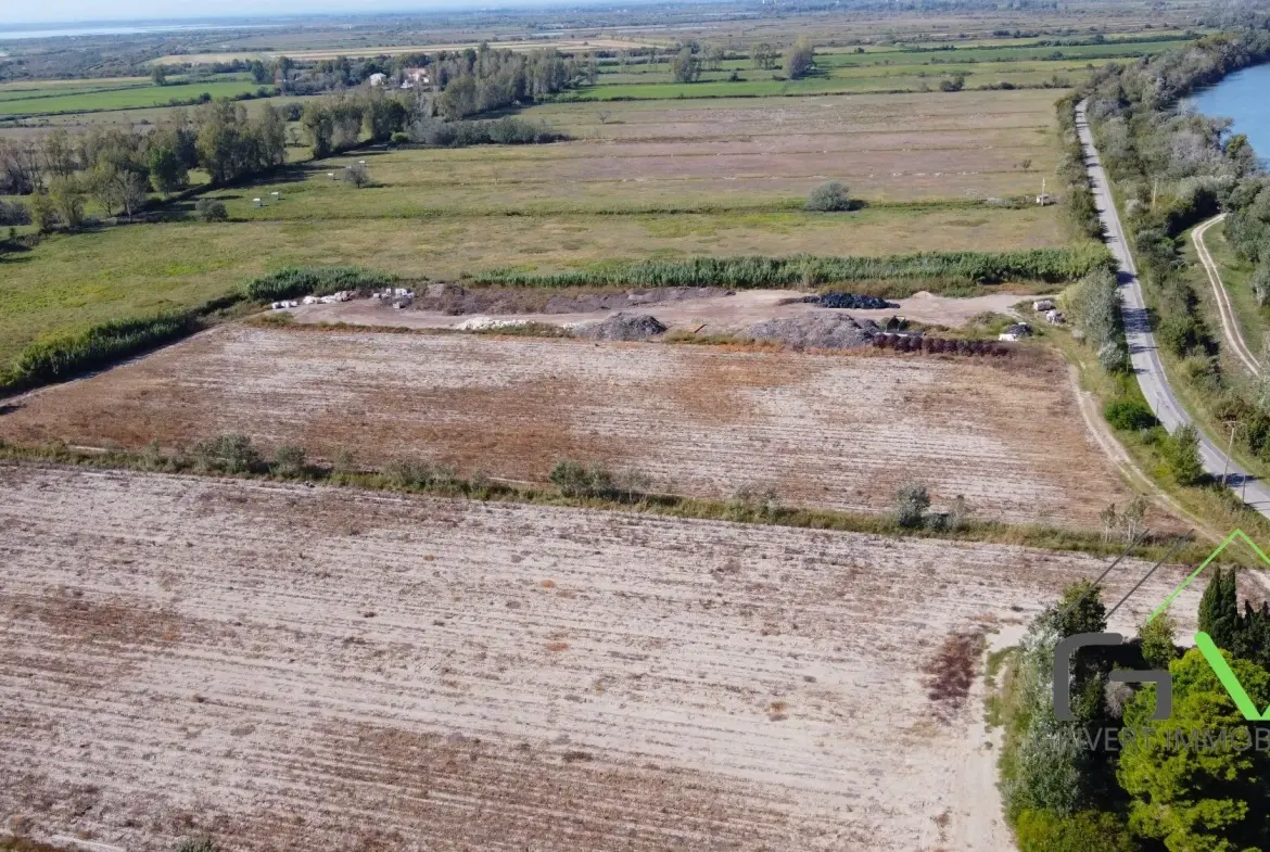 Terrain agricole AOP en Camargue de 46 800 m² proche du Rhône 