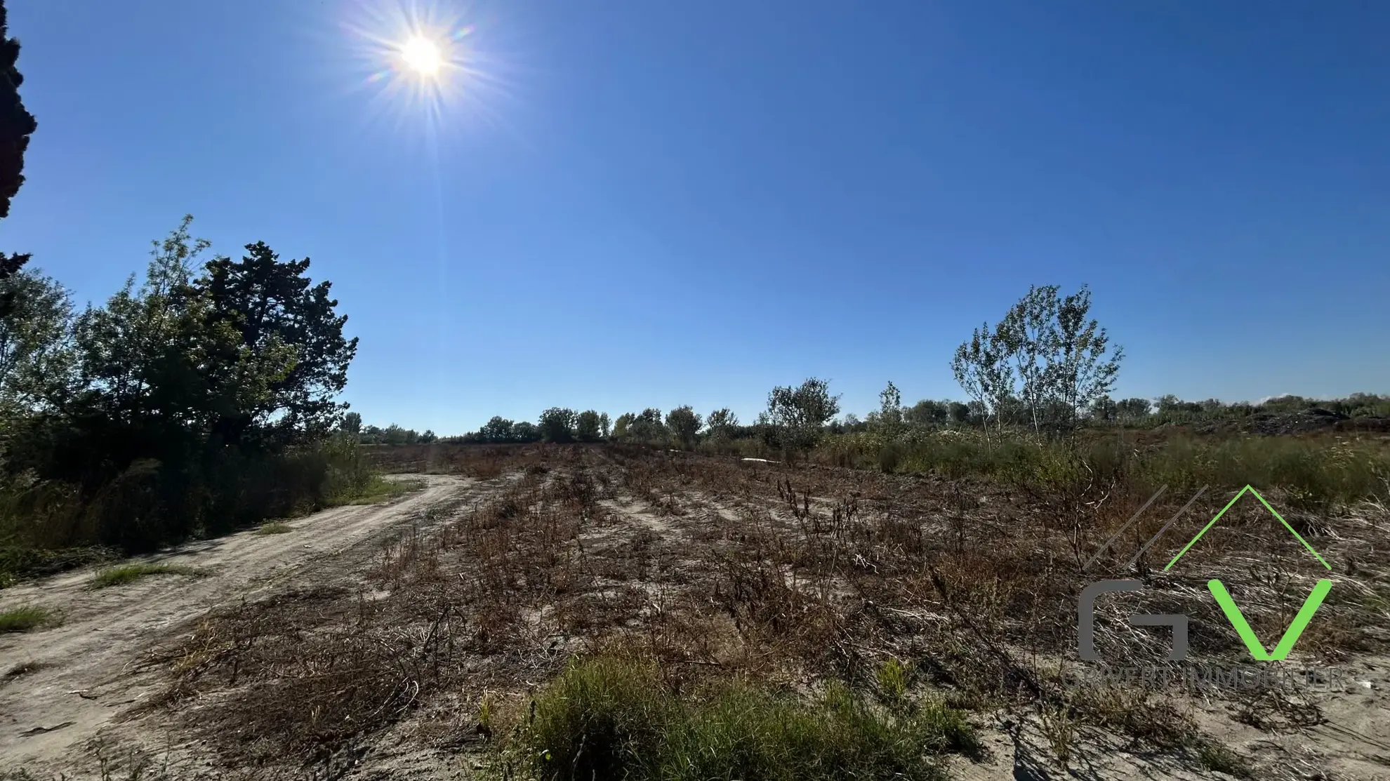 Terrain agricole AOP en Camargue de 46 800 m² proche du Rhône 