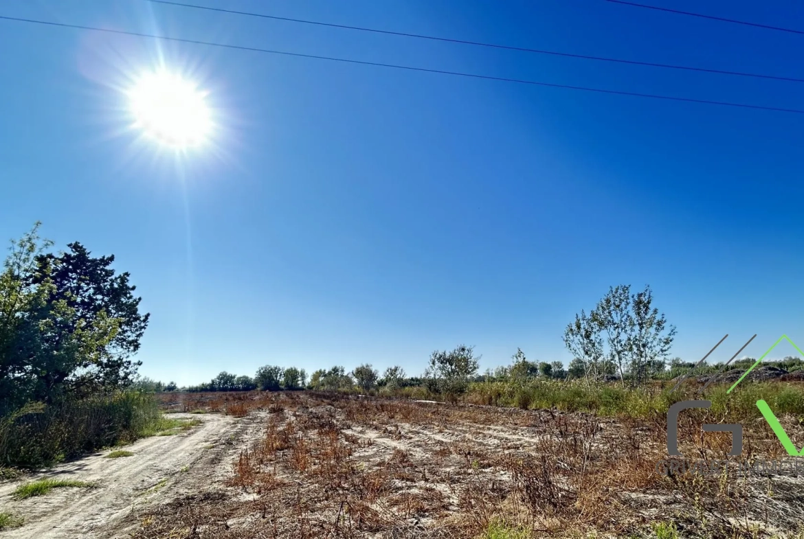 Terrain agricole AOP en Camargue de 46 800 m² proche du Rhône 